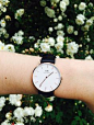 LOVE my Daniel Wellington watch 