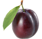 Plum PNG image