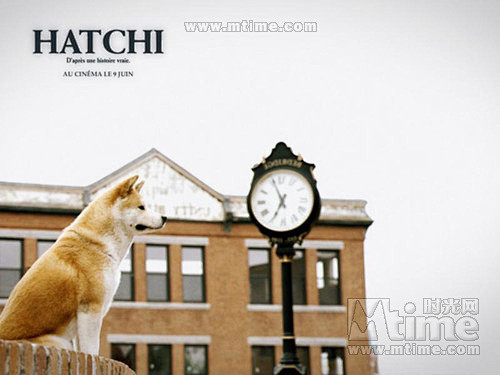 忠犬八公的故事Hachi(2009) 太...