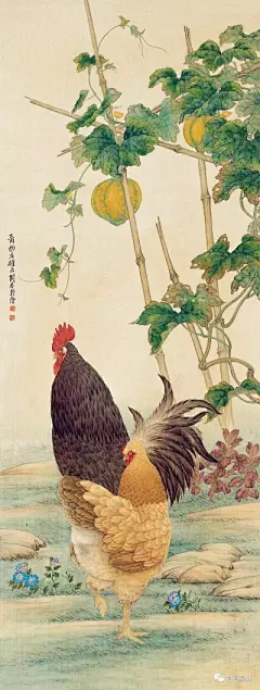 动物昆虫绘 - 高清图片，堆糖，美图壁纸兴趣社区