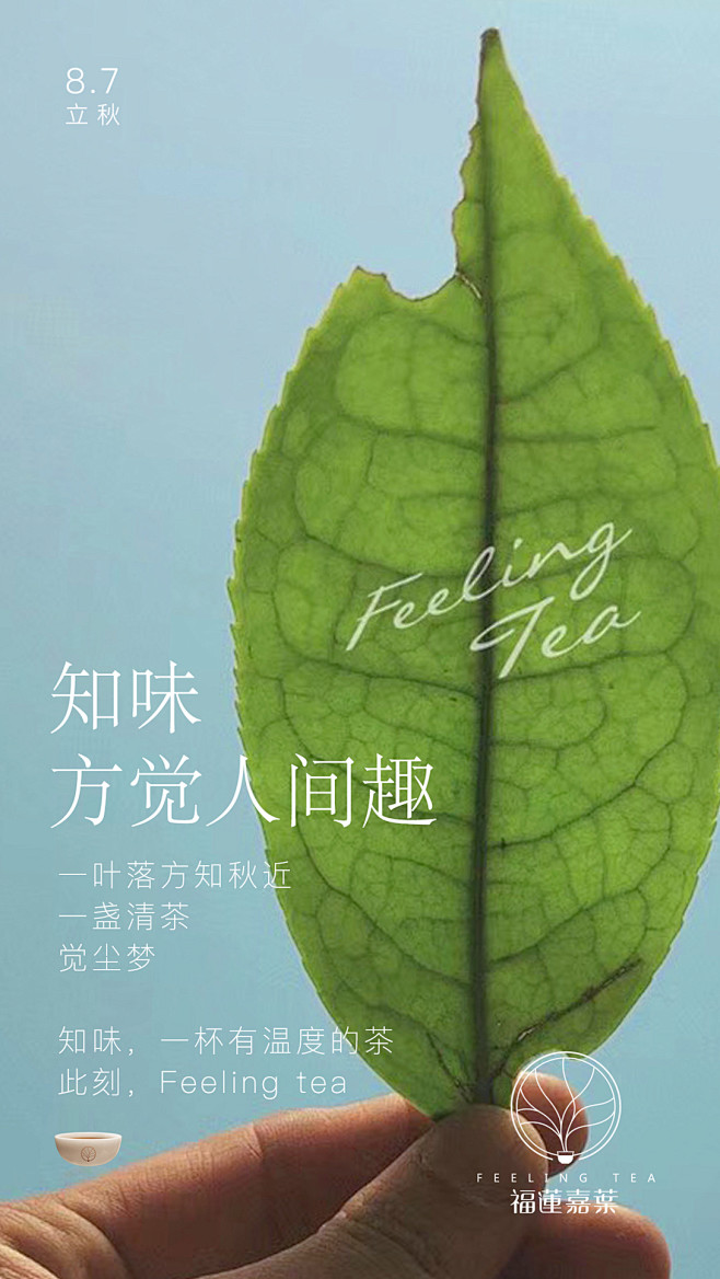 关于茶的一些节气性海报-古田路9号-品牌...