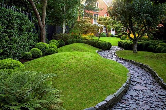 24 Beautiful Boxwood...