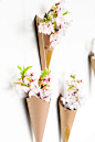 DIY圆锥形花盆，让家里的墙看满鲜花。 - 创意画报|创意生活,手工制作 - 哇噻网
