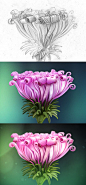 Mike | Creative Mints : Freelance Web Design - Flower