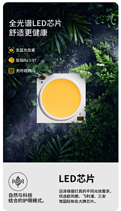 好其实采集到COB