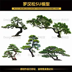 罗汉松SU模型黑松造型松松树歪脖子树景观树造型树草图大师模型-淘宝网