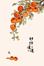 好柿连连