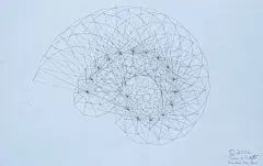 #王国分享#委内瑞拉艺术家Rafael Araujo利用数学模型把运动和大自然微妙的关系绘制成图画，他的许多画让人想起达芬奇速写本里的插图。在这样大量仰赖计算机的年代，仅利用铅笔、尺、量角器，手绘出的分解稿格外令人感到珍贵。更多作品介绍见O网页链接