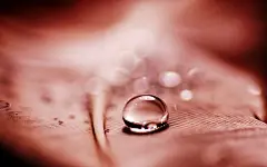 [精美的水珠壁纸桌面图片]往事是尘封在记忆中的梦，而你是我唯一鲜明的记忆，那绿叶上的水珠，是思念的泪滴。大图打包下载。