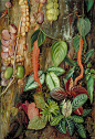plant painting - Google 搜索