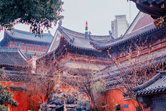 月凝橙采集到寺庙