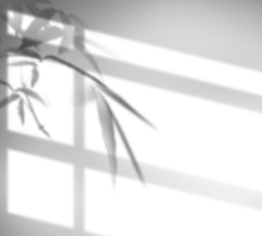 摄图网_401855318_创意手绘阳光照射竹子投影（非企业商用）_4328258990