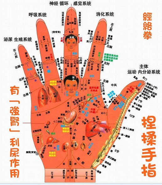 手部经络图