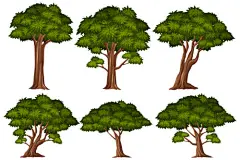 树木矢量图集不同形状与大小的卡通树丛插画