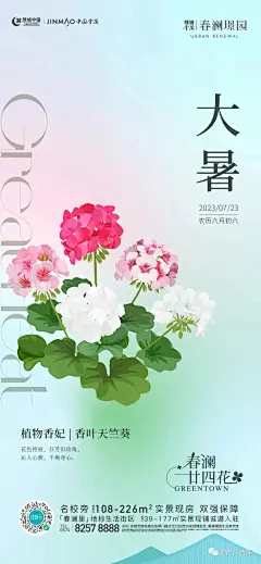 大暑海报