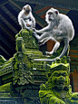 Monkey forest in Ubud, Bali...