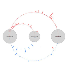 xUvEZJcj采集到分析图 analysis