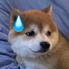 狗狗无语表情包