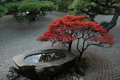 等一株花开采集到日式庭院