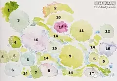 【致设计师】超有气质的花镜手绘平面及效果图，棒棒哒！