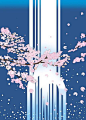 来自相册
