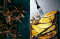 Spice Cookbook Photography : Spice Cookbook Photography. Photography by Vanessa Rees, Food styling by Lauren LaPenna, Recipe development by Malika Ameen