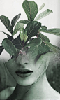 Antonio Mora: 