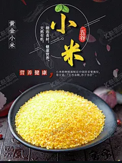 小米 【酷图网】新鲜小米,五谷杂粮,小米海报,有机小米海报,稻米海报,成熟的小米,成熟的稻谷,稻谷海报,稻穗海报,稻穗背景,谷穗海报,谷穗背景,杂粮海报,杂粮展板,杂粮广告,小米广告,小米背景,小米展板,黄金米海报,五谷海报,谷子海报,金黄小米海报,一碗小米