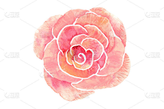 花瓣素材-其他图片采集到其他图片