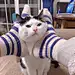 银角大大王