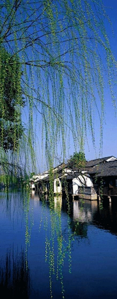 雷克萨斯罗兰采集到风景背景