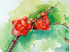 小花小草-刹那芳华_插画,水彩_涂鸦王国插画