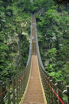 台湾南投竹吊桥的天梯