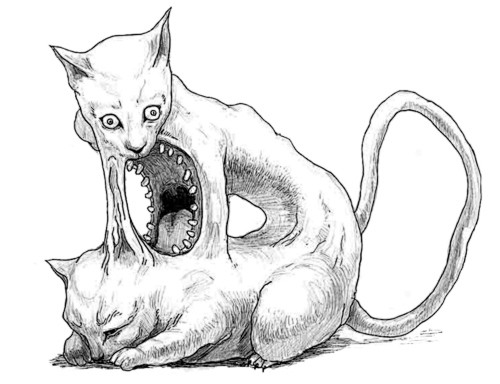 猫不像猫