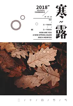 中国传统节日寒露二十四节气节宣传海报