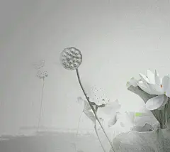 【壁纸】我要以怎样的速度生活，我要怎么说出那句喜欢你。_真人秀吧_百度贴吧