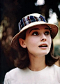 奥黛丽·赫本 Audrey Hepburn 图片