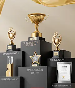 志高一级能效燃气热水器家用天然气冷凝恒温智能洗澡13升强排式-tmall.com天猫