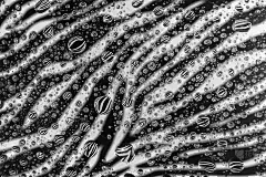 抽象的水滴背景上有美丽的黑白背景与反射