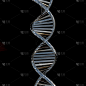 DNA链螺旋状菱形透明材料，孤立在黑色背景上，基因工程概念，研究，3d渲染，3d插图