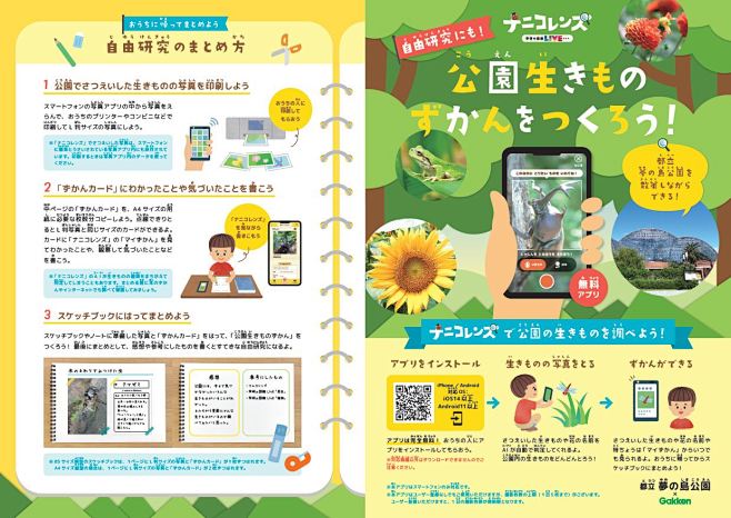 無料"AI図鑑アプリ"で自由研究イベント...