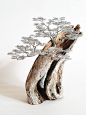 Driftwood Sculpture / Driftwood Art / Driftwood by BonsaiWireTree