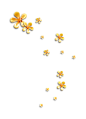 黄色花朵 花瓣 黄色 PNG