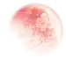 PNG透明背景素材@艺鱼视觉