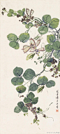 【 陈康侯 《花卉草虫图》 】陈康侯（1866-1937），字锡蕃，号风来堂主人，扬州人，是王素以后扬州画坛最著名的画家之一。陈康侯最为突出的成就就是花鸟画。其画风清新秀丽，质朴自然、构图疏朗灵动，造型生动传神。他的花鸟画作品，在追求传统技法的基础上，重视写生，引入西洋画的透视技法，以形写神，他常常捉各种小虫置于瓶中，观察其动态，使笔下草虫有形、有神、栩栩如生。