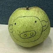 清塘荷韵寸草心