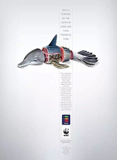 爱摸鱼的猫采集到h-环保宣传海报参考