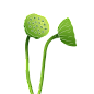 莲蓬 莲花 装饰