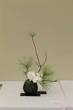 心在东方采集到【心在东方】花道