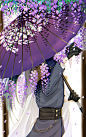 #刀剑乱舞# 最开始被清爽的青江吸引而来！！结果打开一看！！紫藤萝的更好看！！再慢慢看越看越好看！！！！！这位太太也是宝藏！！！！！ ​​​​